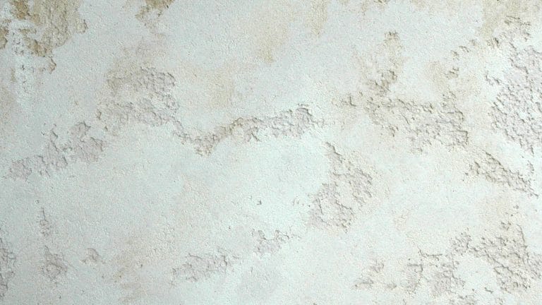 Coral Stone Rendering